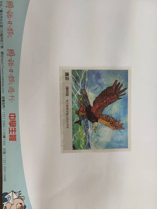 圖片說明